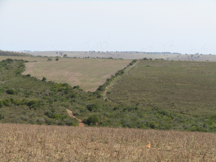 Commercial Property for Sale in Humansdorp Rural Eastern Cape